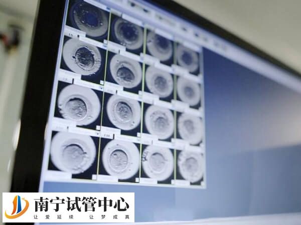 胚胎8细胞发育潜力高