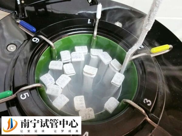 冻胚保存时间久
