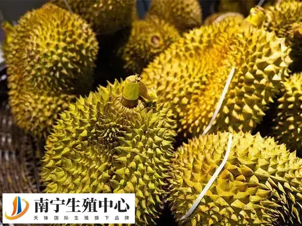榴莲被誉为水果之王