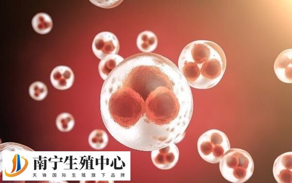 内分泌失调会导致卵泡萎缩