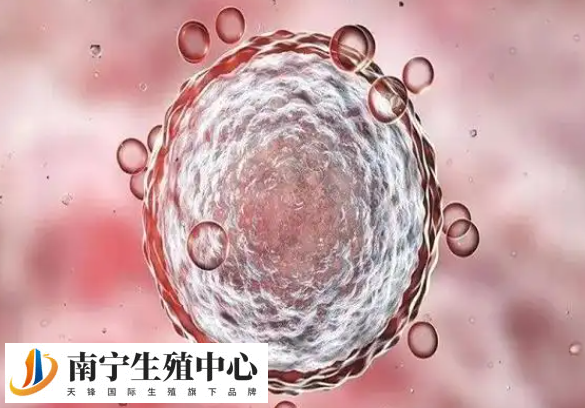 第三代试管婴儿囊胚4AB和6AB的质量有啥区别?