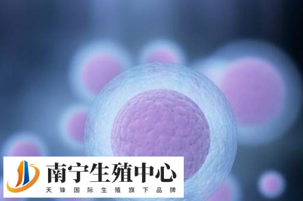 试管婴儿刚刚怀孕孕酮低不能吃哪些食物呢?