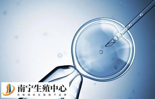 试管鲜胚移植怎么才算成功