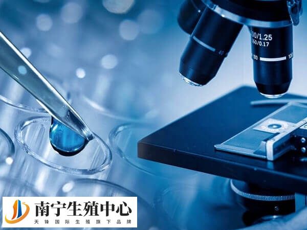 胚胎移植后是不是不能提重物