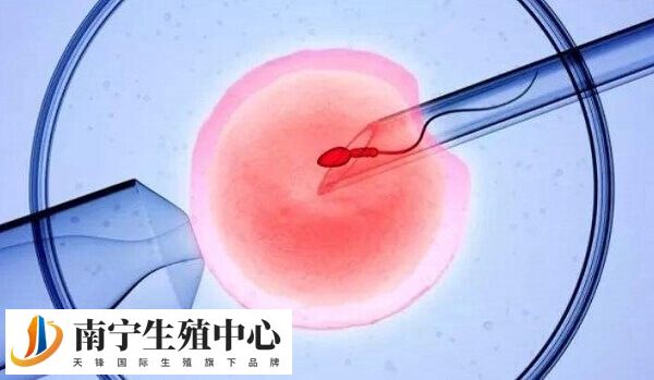试管失败后多久能进行第二次移植