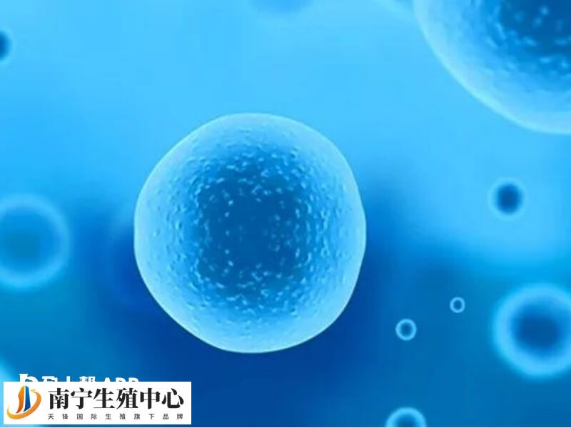 试管移植后血值不翻倍怎么办