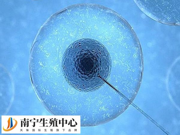试管打完夜针后有什么反应