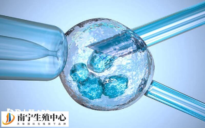 移植鲜胚有什么要求
