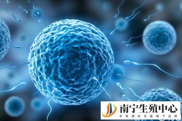年龄影响试管成功率