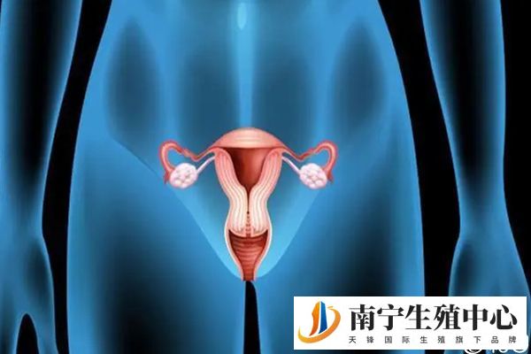 卵巢储备情况会影响冻卵成功率