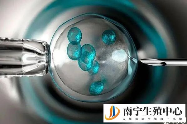 卵子可冷冻时间长