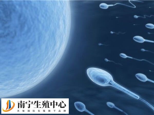试管婴儿成功率与患者个人身体情况有关