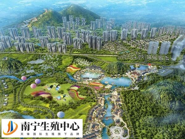 南宁有两家医院可以做三代试管