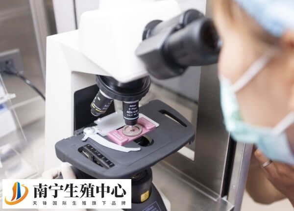 年龄越小试管成功率越高