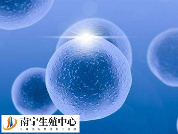 南宁第二人民医院做试管婴儿的成功率有多少？