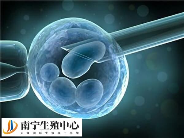 胚胎着床成功后体内激素会发生改变