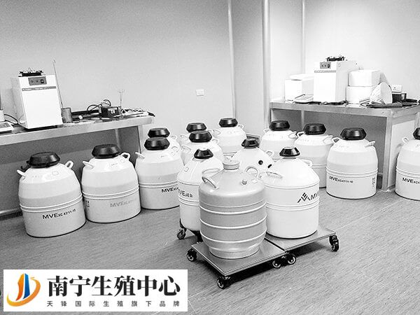 胚胎销毁需要什么证件